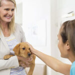 steps to train your dog