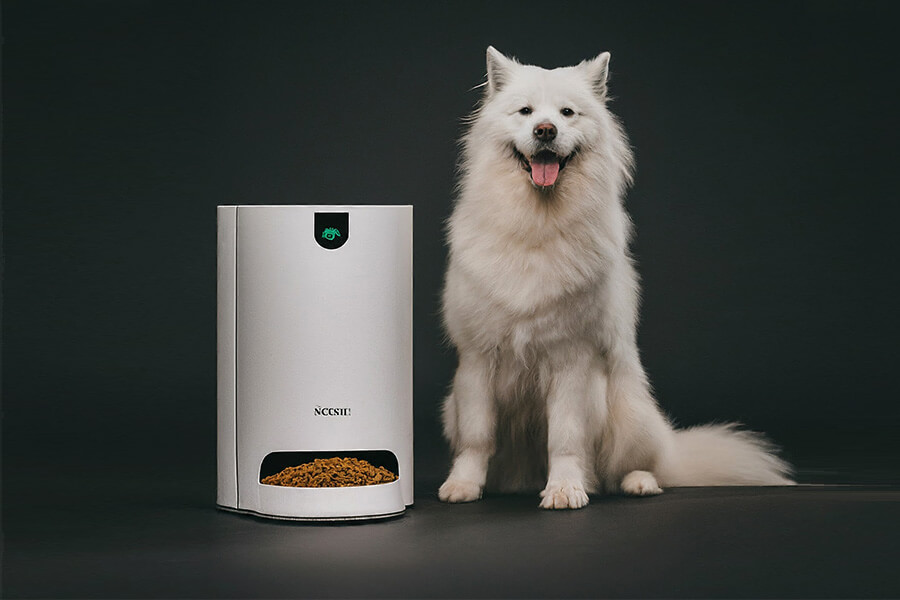 best dog feeders for large dogs